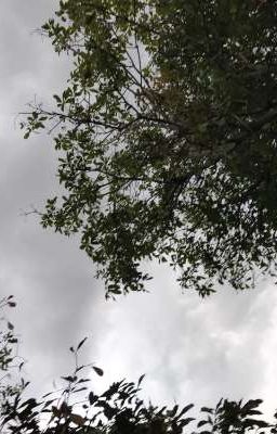 12pm