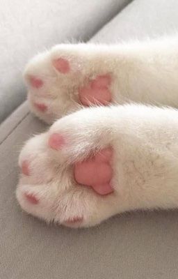 [2min] - actually.