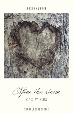 after the storm