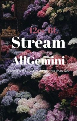 [ AllGemini/ BL] Stream