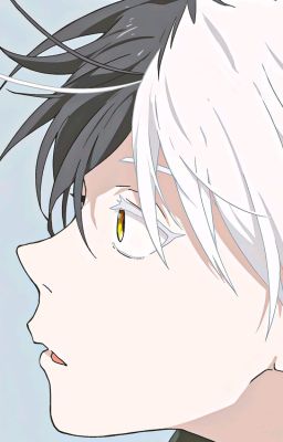 (AllSakura) relationship