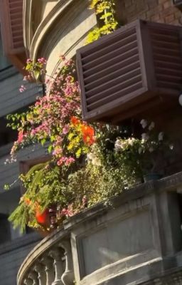 Ánh Chiều Tà