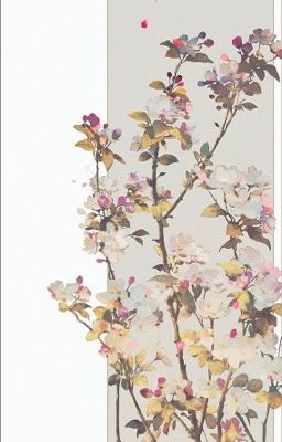 Ảo mộng