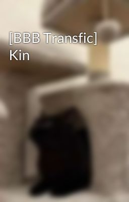 [BBB Transfic] Kin