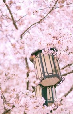 binryu ⤬ tịch mịch
