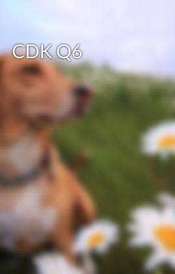CDK Q6
