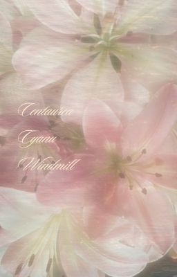 Centaurea Cyanus Windmill
