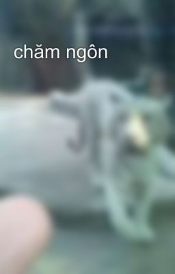 chăm ngôn