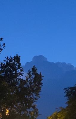 chán 