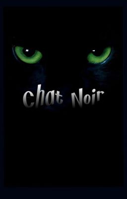 Chat Noir