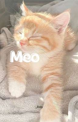 [ChoDeft] Meo