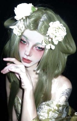 Chodeft ♯ Trần Phú.
