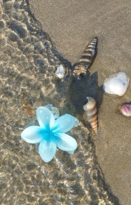 [codylei] - request