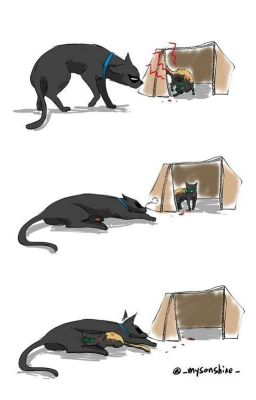 Cold Days (DickDami)