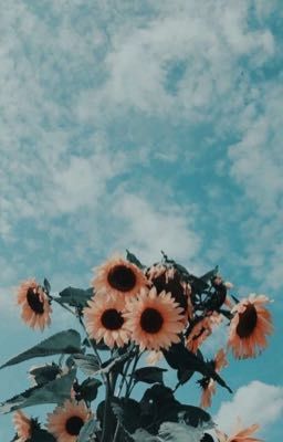Crush