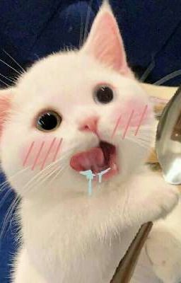 Cute