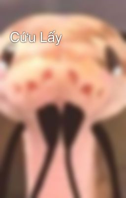 Cứu Lấy