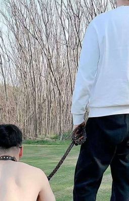 Đại Ca Chó