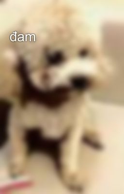 đam