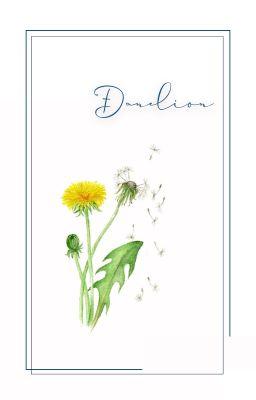 Dandelion
