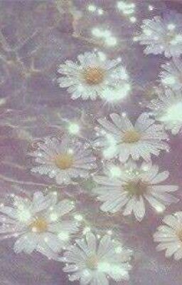 dandelion - vmin 