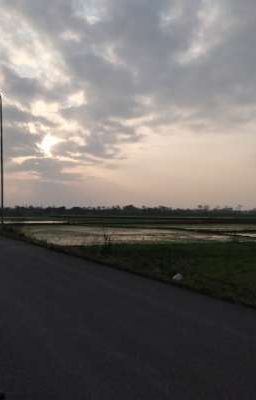 Đánh lẻ