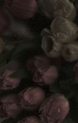 [ĐM/ABO] Miracle