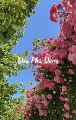 Đóa Phù Dung