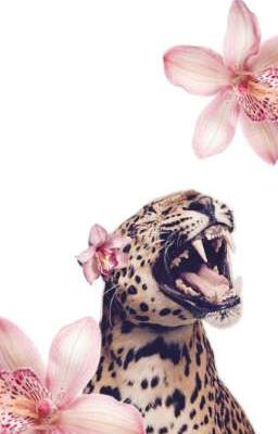 đợi ✘ guria