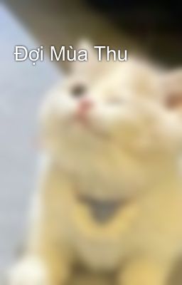Đợi Mùa Thu