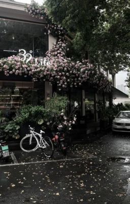 domicmasterd | mơ.