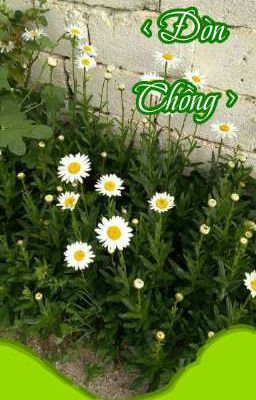 Đòn Chồng