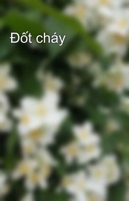 Đốt cháy