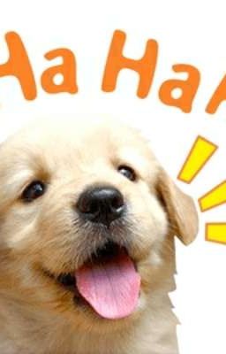 Đứa nhỏ 👨❤️👨