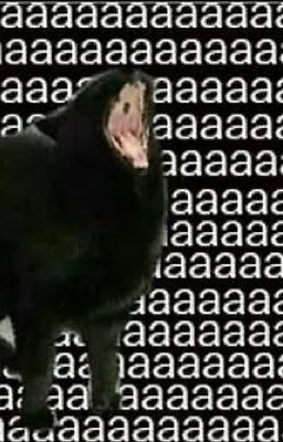 đường dẫn