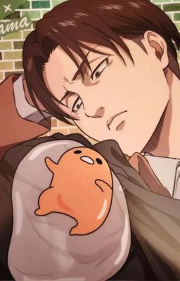 Eruri - Mến mộ