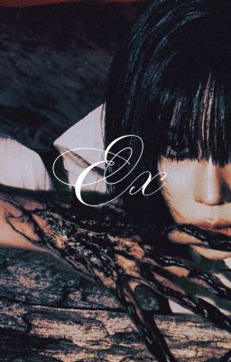 Ex | Sunsun |