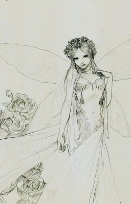 fairies