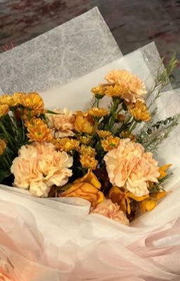 forcebook ; blooming 
