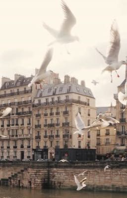 french romance