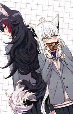 FubuMio