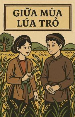 giữa mùa lúa trổ 