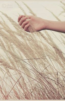 Give me ...