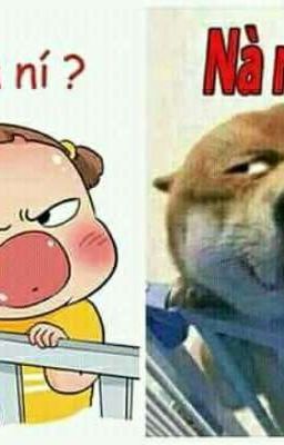 Góc Thư Giãn