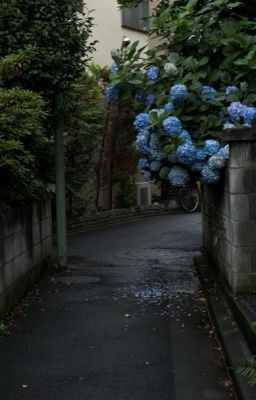 guon | cũ.