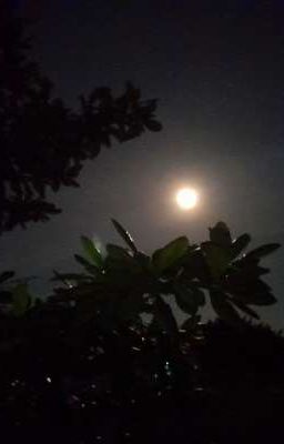 Hạ