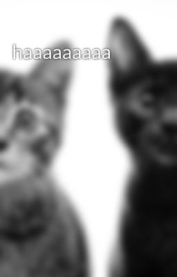 haaaaaaaaa