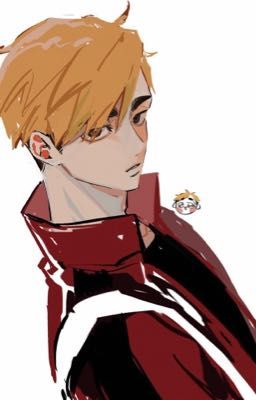 Haikyuu x Reader