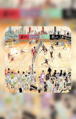 ✮ [ Haikyuu x Reader ] ✮