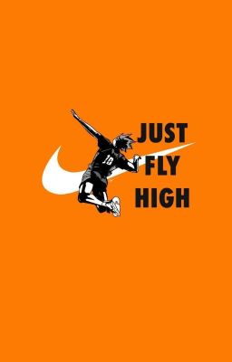 [Haikyuu x Reader] FLY HIGH